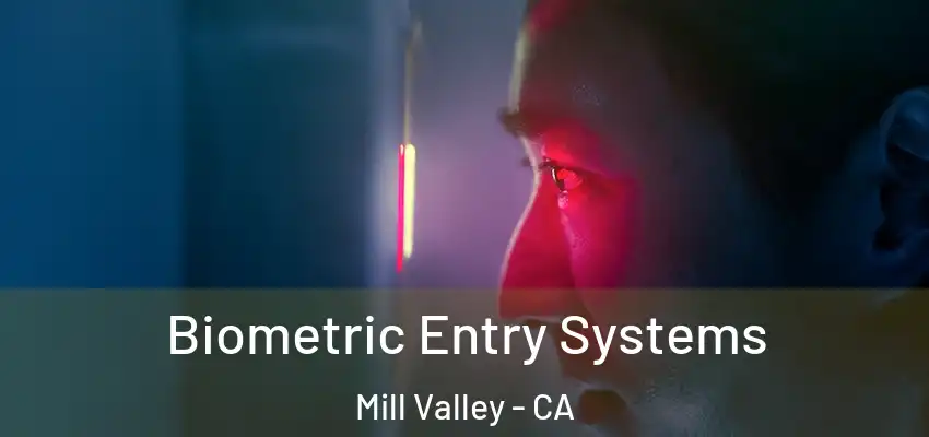  Biometric Entry Systems Mill Valley - CA