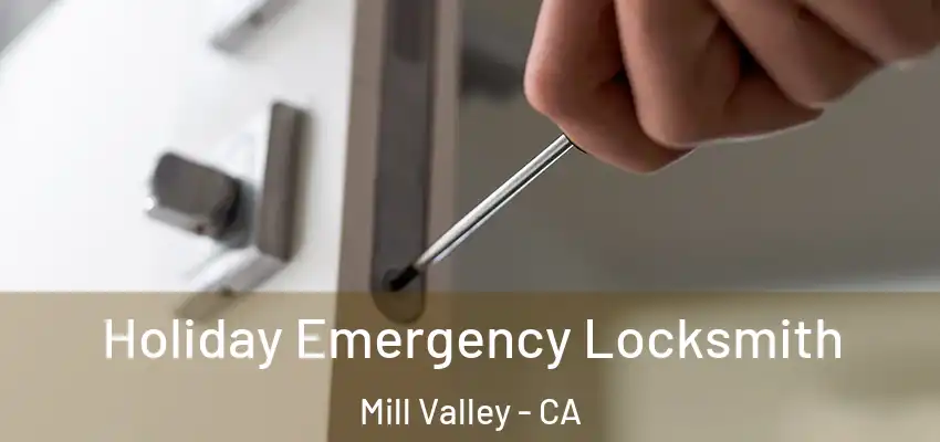  Holiday Emergency Locksmith Mill Valley - CA